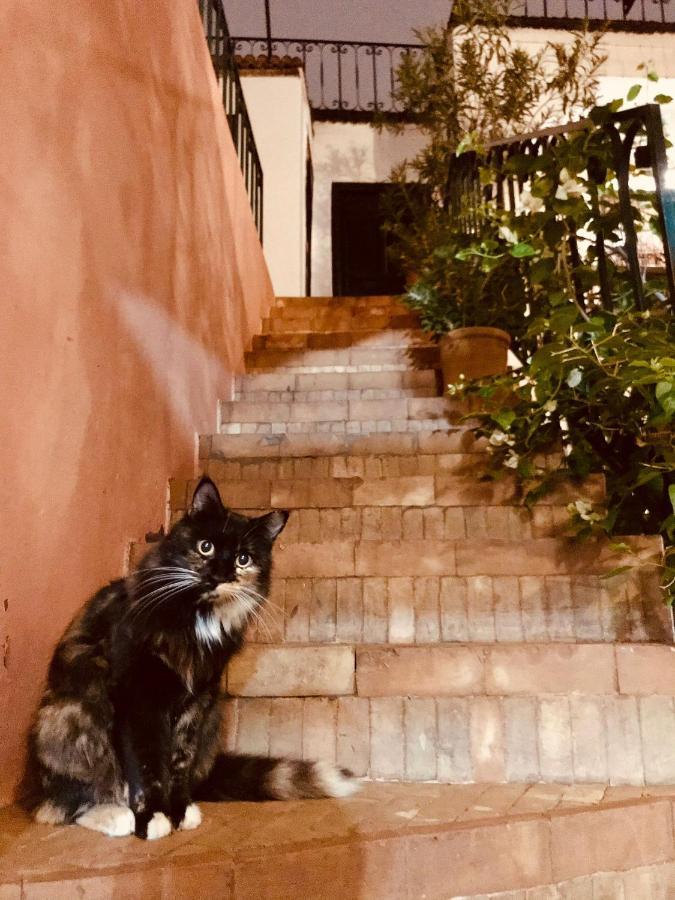 Riad Rockech Marrakesh Exterior foto